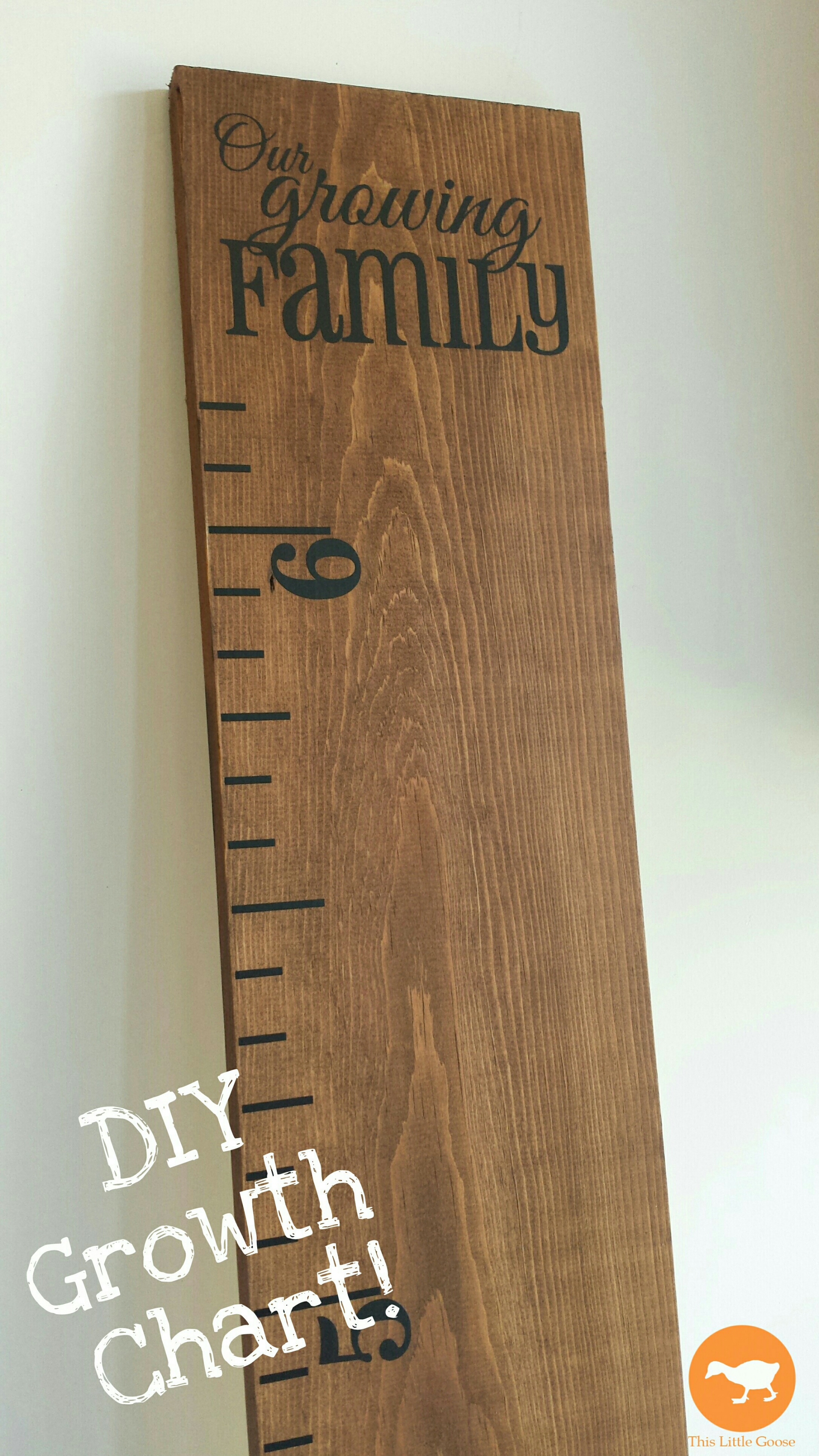How To Make A Wooden Growth Chart